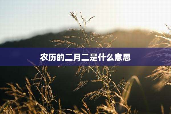 农历的二月二是什么意思