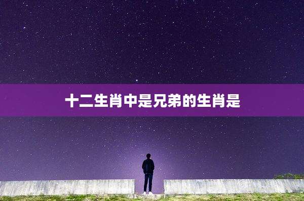 十二生肖中是兄弟的生肖是