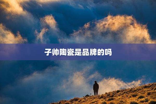 子帅陶瓷是品牌的吗