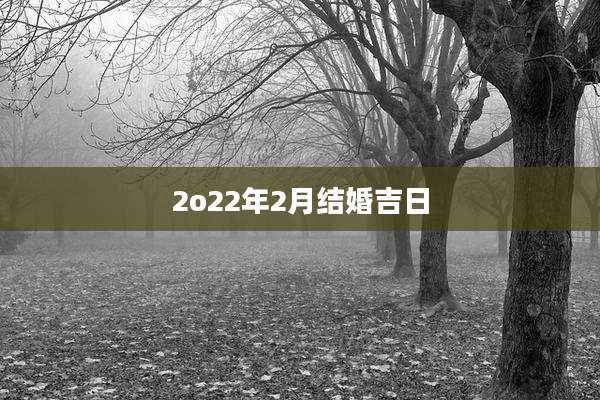 2o22年2月结婚吉日