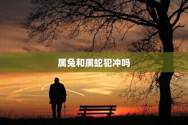 属兔和属蛇犯冲吗