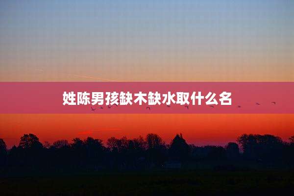姓陈男孩缺木缺水取什么名
