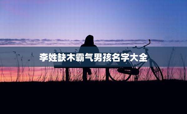 李姓缺木霸气男孩名字大全