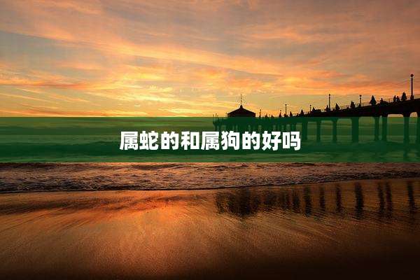 属蛇的和属狗的好吗