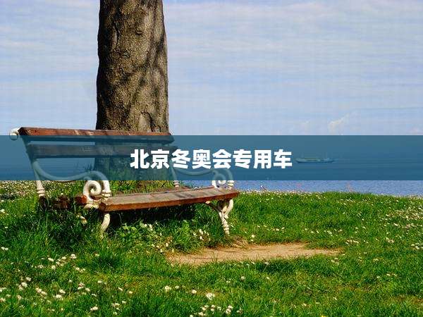 北京冬奥会专用车