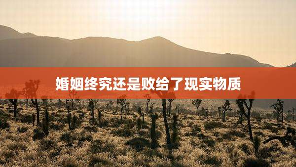 婚姻终究还是败给了现实物质