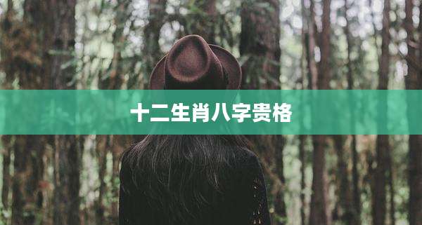 十二生肖八字贵格