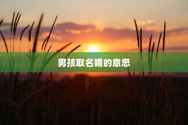 男孩取名曦的意思