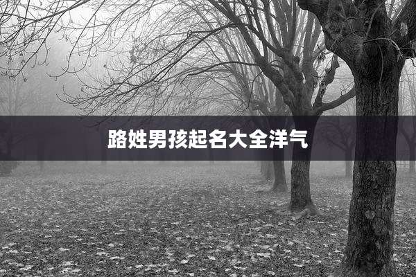 路姓男孩起名大全洋气