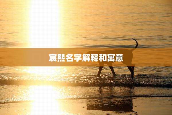 宸熙名字解释和寓意
