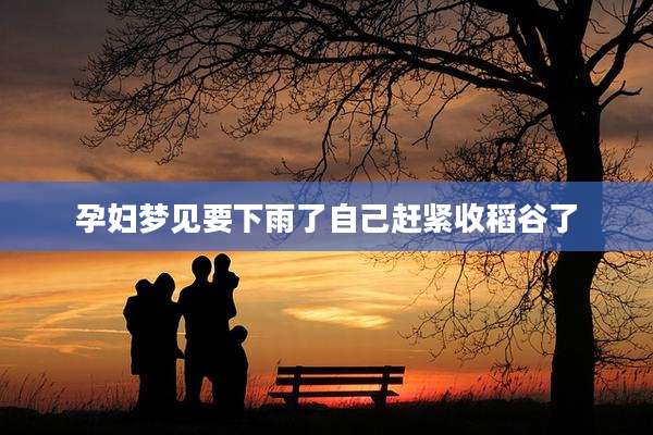 孕妇梦见要下雨了自己赶紧收稻谷了