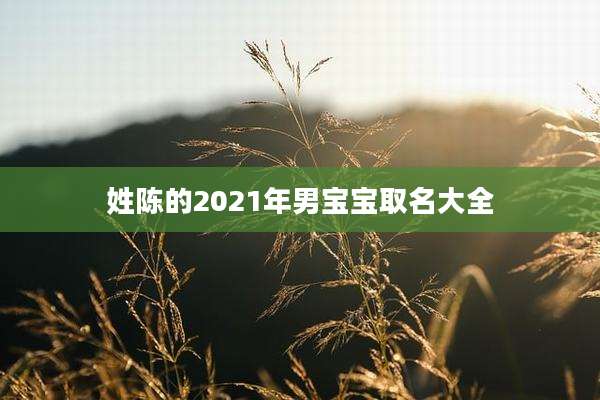 姓陈的2021年男宝宝取名大全