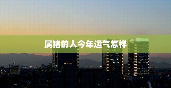 属猪的人今年运气怎样