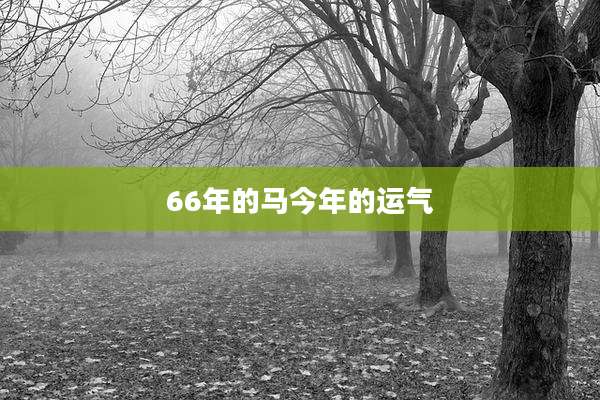 66年的马今年的运气