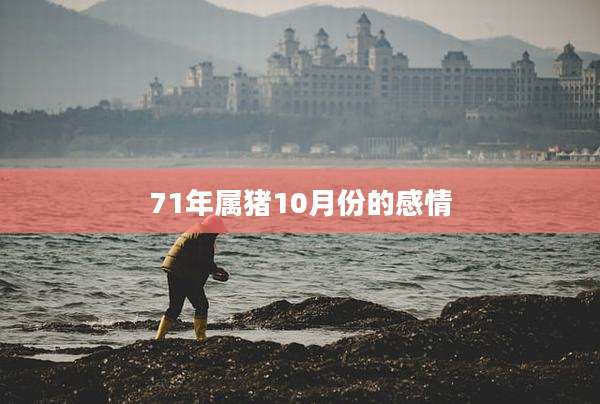 71年属猪10月份的感情