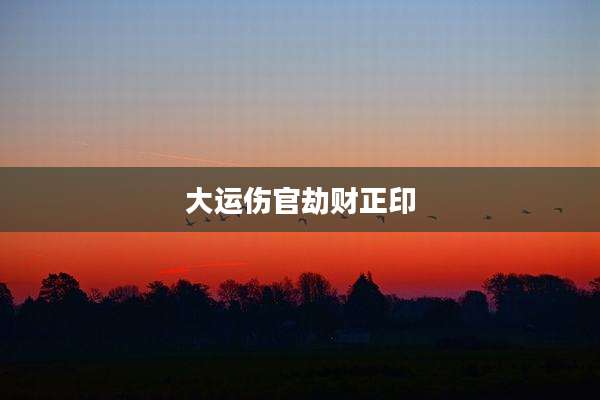 大运伤官劫财正印