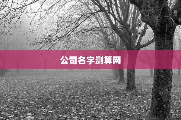 公司名字测算网