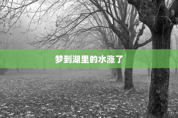 梦到湖里的水涨了