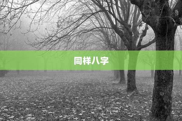 同样八字