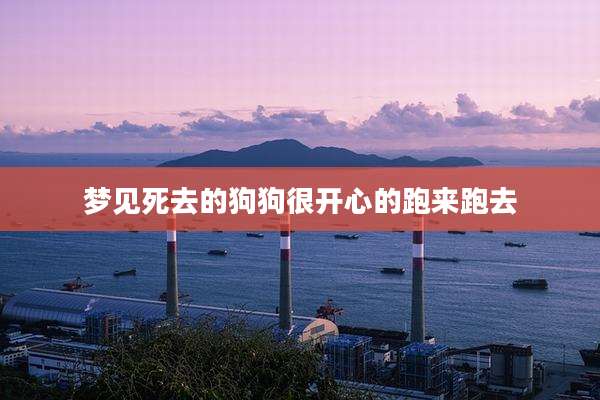 梦见死去的狗狗很开心的跑来跑去