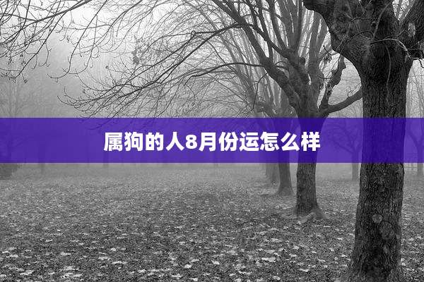 属狗的人8月份运怎么样
