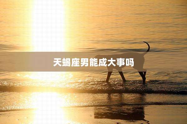 天蝎座男能成大事吗