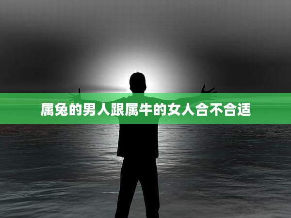 属兔的男人跟属牛的女人合不合适