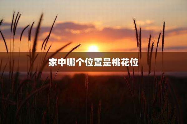 家中哪个位置是桃花位