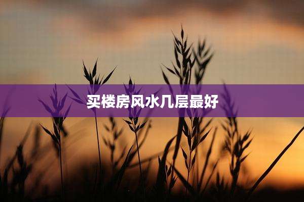 买楼房风水几层最好