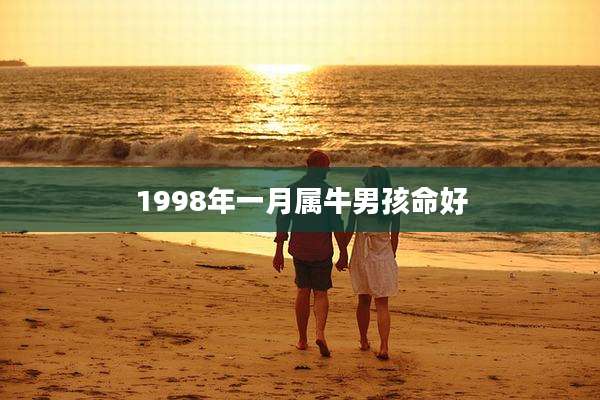 1998年一月属牛男孩命好