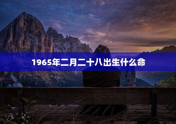 1965年二月二十八出生什么命