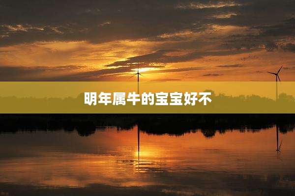 明年属牛的宝宝好不