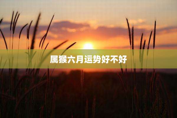 属猴六月运势好不好
