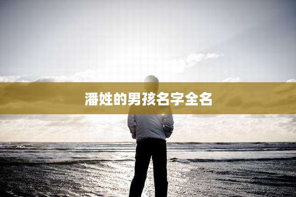 潘姓的男孩名字全名