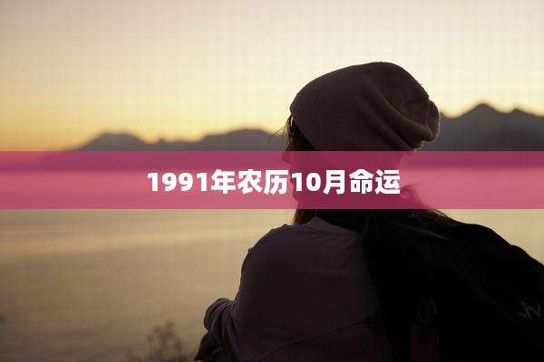 1991年农历10月命运