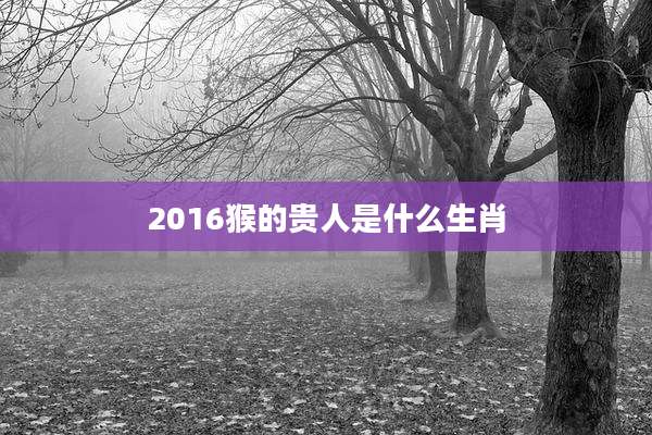 2016猴的贵人是什么生肖