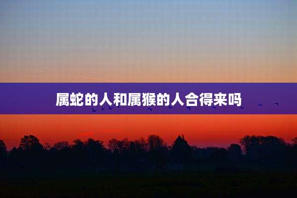 属蛇的人和属猴的人合得来吗