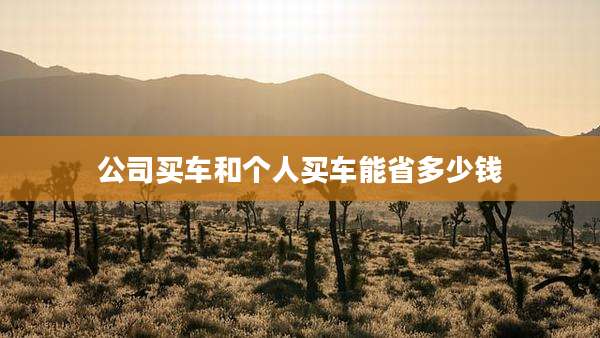 公司买车和个人买车能省多少钱