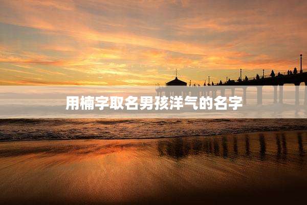 用楠字取名男孩洋气的名字