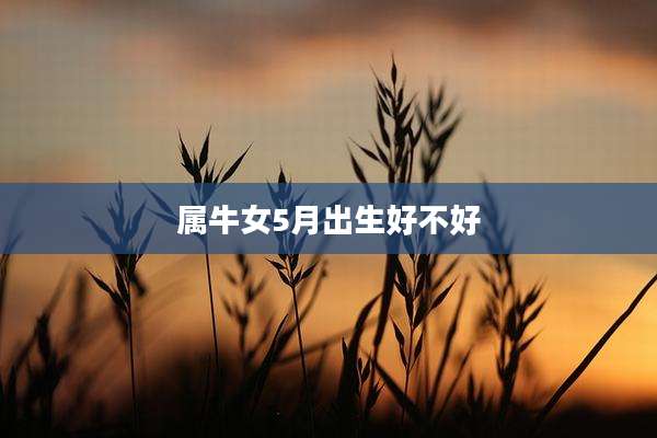 属牛女5月出生好不好
