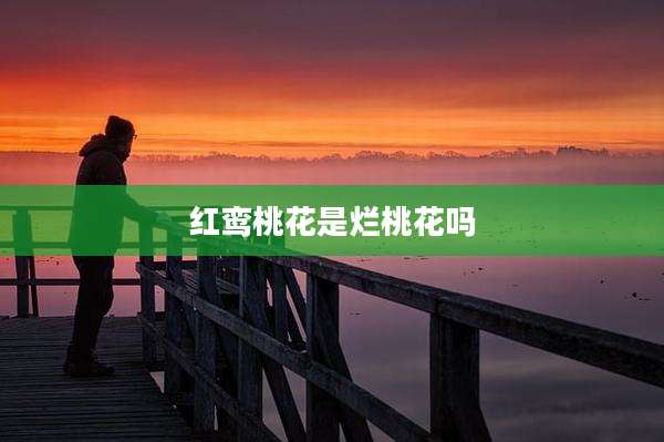 红鸾桃花是烂桃花吗