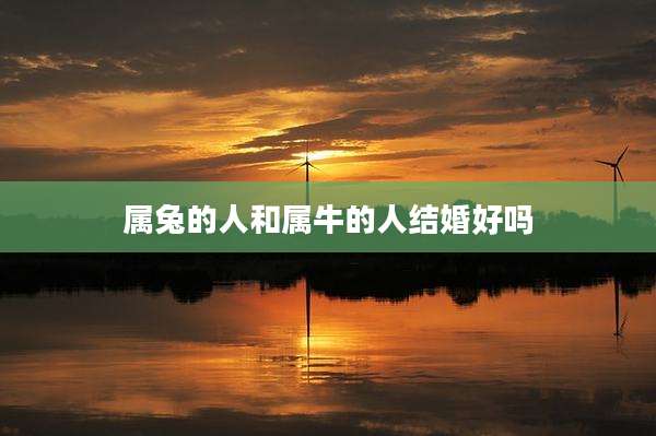属兔的人和属牛的人结婚好吗