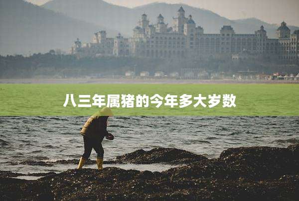 八三年属猪的今年多大岁数