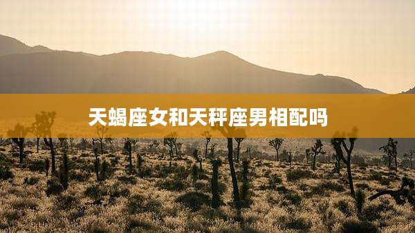 天蝎座女和天秤座男相配吗