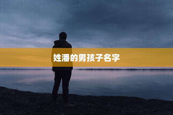 姓潘的男孩子名字