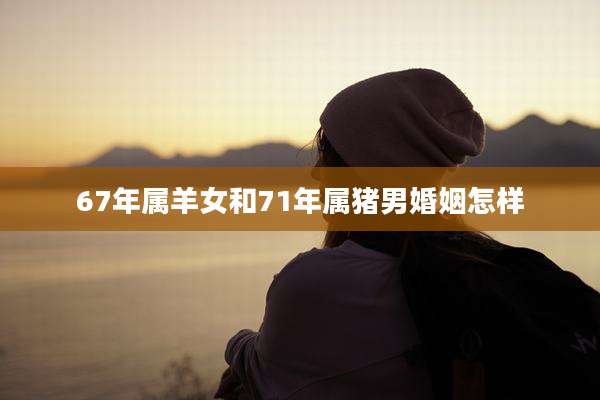 67年属羊女和71年属猪男婚姻怎样