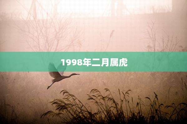 1998年二月属虎