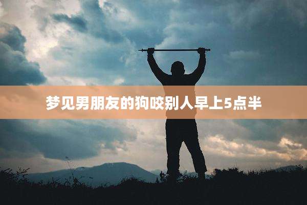 梦见男朋友的狗咬别人早上5点半