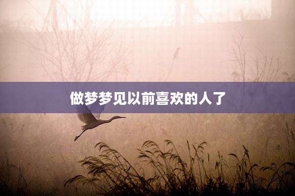 做梦梦见以前喜欢的人了
