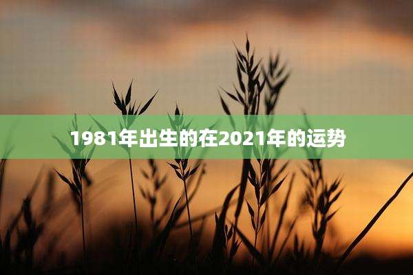 1981年出生的在2021年的运势